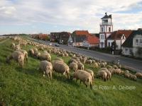 leuchtturm-unterfeuer_1060