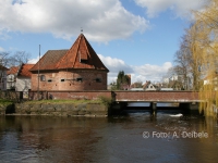 zwinger_2010