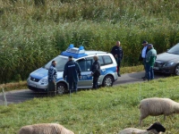 Schafdiebstahl wird angezeigt.