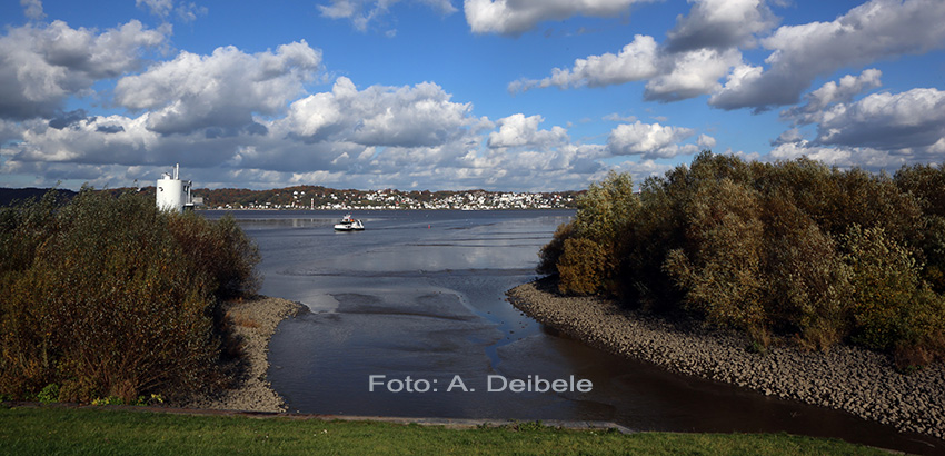 blankenese_1000